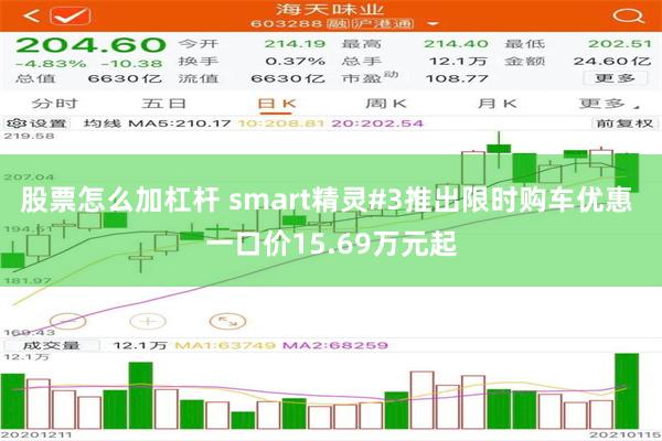 股票怎么加杠杆 smart精灵#3推出限时购车优惠 一口价15.69万元起