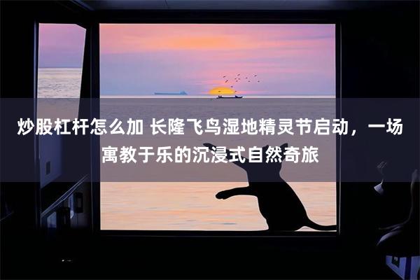 炒股杠杆怎么加 长隆飞鸟湿地精灵节启动，一场寓教于乐的沉浸式自然奇旅